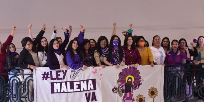 Aprueban Ley Malena En El Congreso CDMX Para Castigar Ataques Con